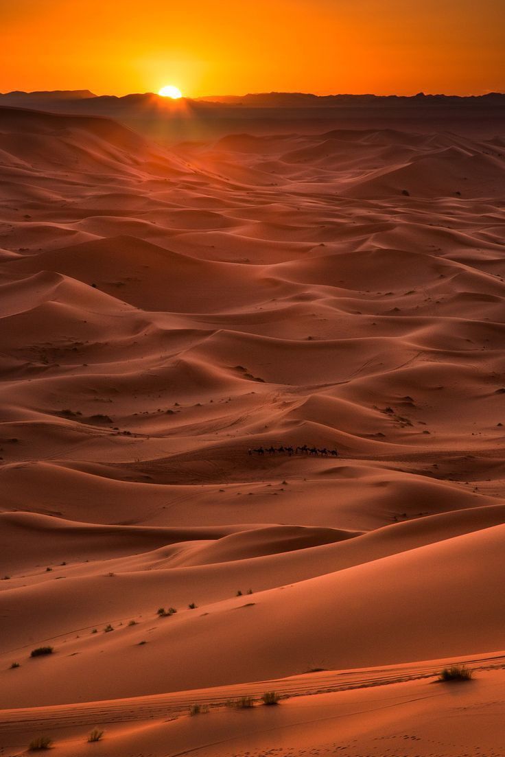 Pôr do sol no deserto do Saara com caravana de dromedários, Marrocos